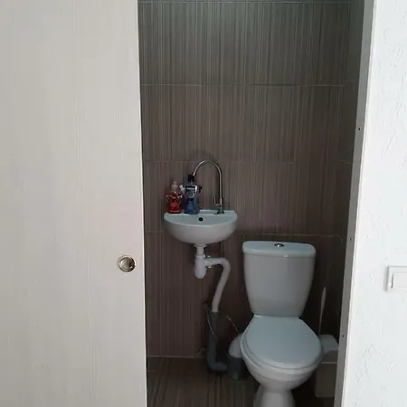 новая